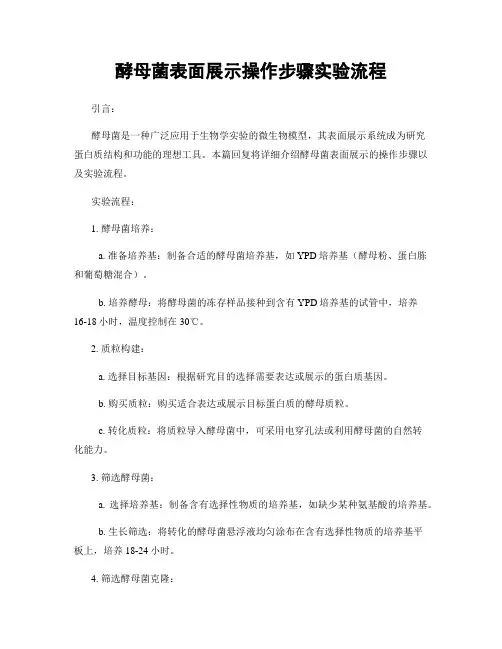 酵母菌表面展示操作步骤实验流程