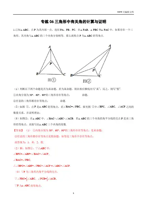 专练06 三角形中有关角的计算与证明-2021年中考数学压轴题专项高分突破训练(全国通用)(解析版)