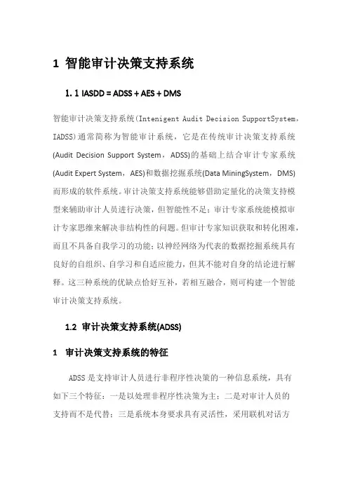 智能审计_精品文档