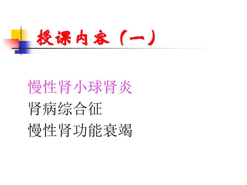 最新常见肾病护理PPT课件