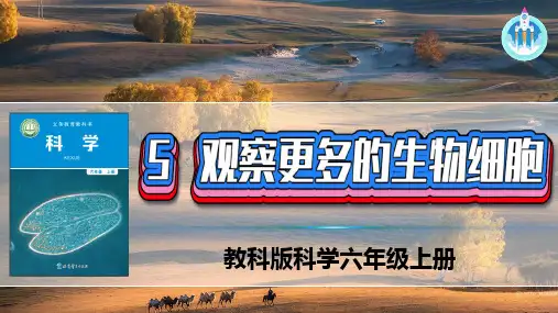 (2022)教科版科学六年级上册1-5观察更多的生物细胞PPT新版课件PPT