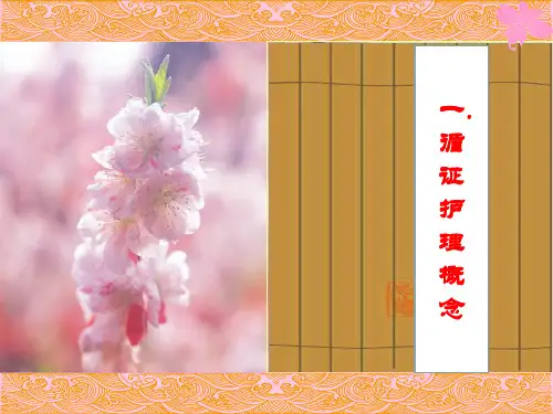 循证护理PPT_【PPT课件】