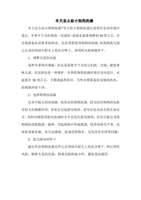 冬天怎么给小狗狗洗澡