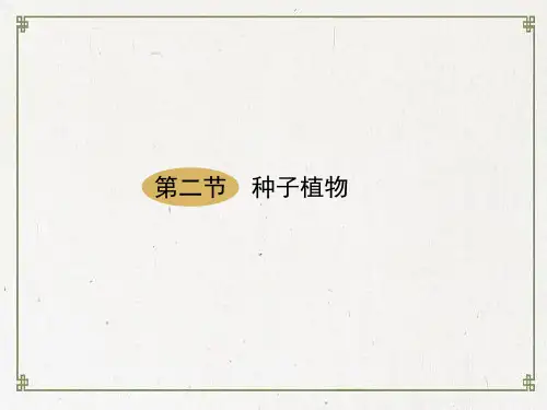 七年级生物上册第三单元第一章第二节种子植物课件新版新人教版