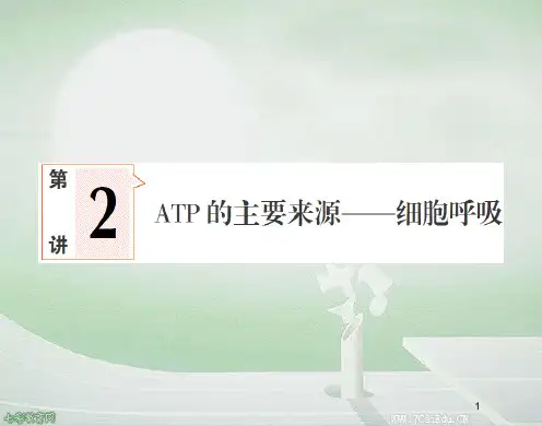 2020高考新课标金版教程生物一轮复习课件1-3-2