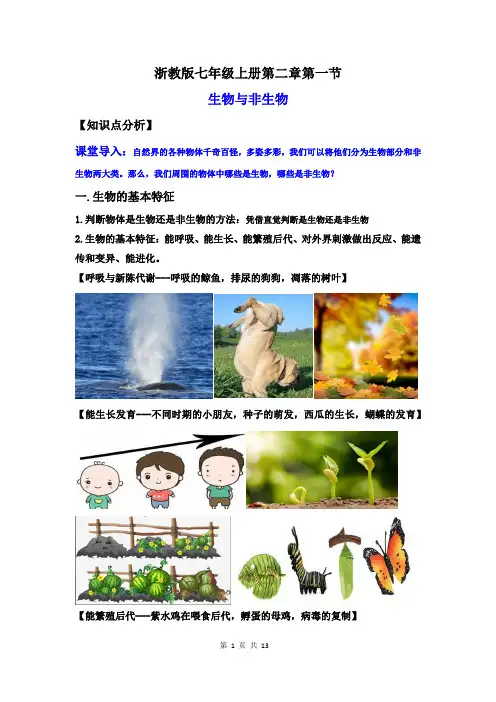 七年级生物与非生物(讲义)(解析版)