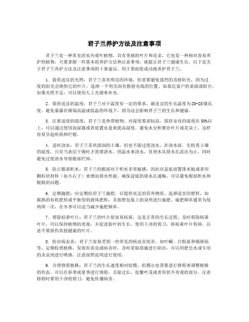 君子兰养护方法及注意事项
