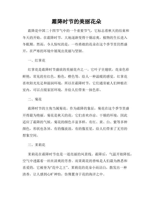 霜降时节的美丽花朵