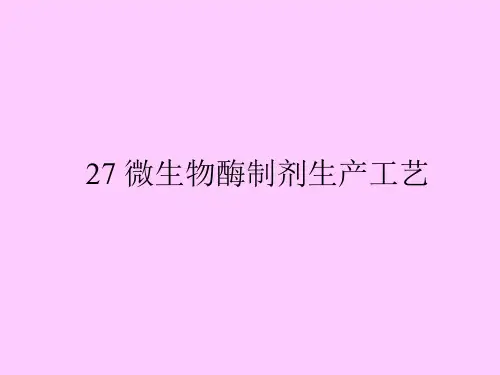 酶的微生物生产工艺