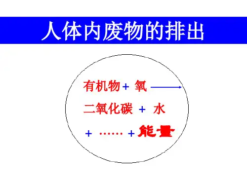 人体代谢废物的排出