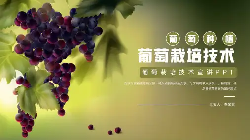 葡萄栽培种植技术宣讲PPT