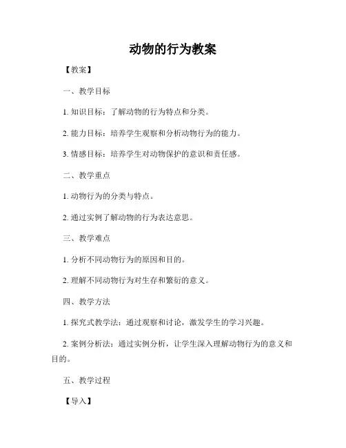 动物的行为教案