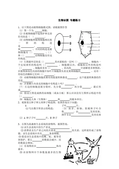 初中生物人教版识图练习全四册中考总复习