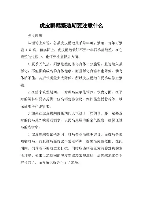虎皮鹦鹉繁殖期要注意什么