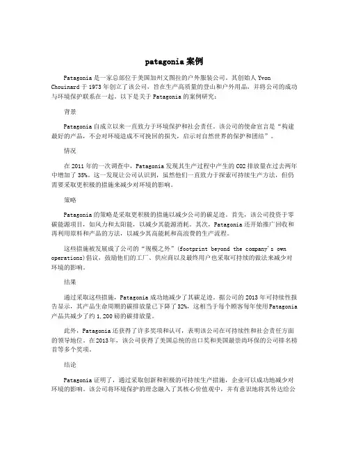patagonia案例