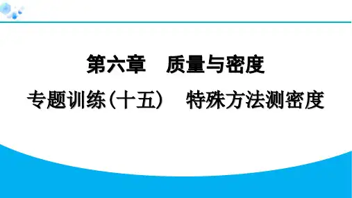 八年级上册物理【课后练】专题训练(十五) 特殊方法测密度