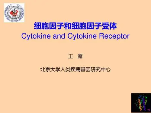 北医免疫课程细胞因子和细胞因子受体 ppt课件