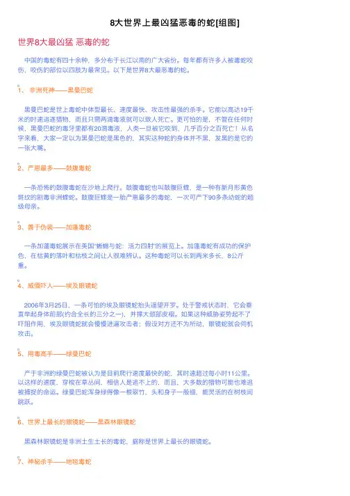 8大世界上最凶猛恶毒的蛇[组图]