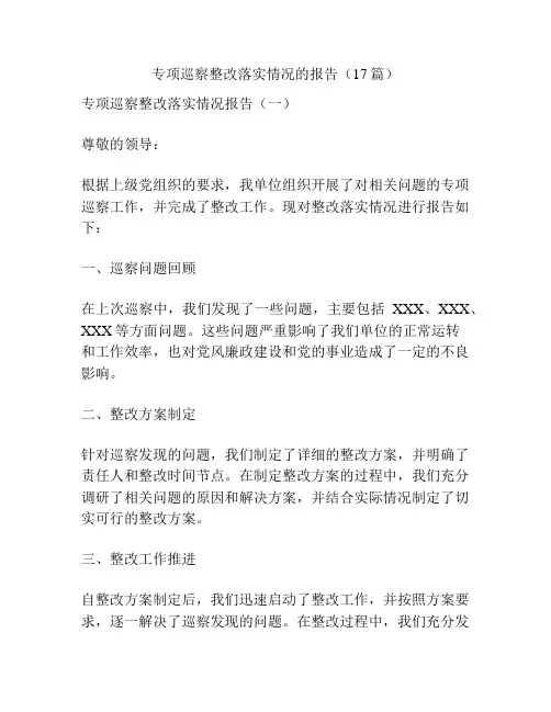 专项巡察整改落实情况的报告(17篇)