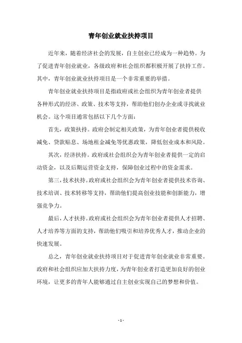 青年创业就业扶持项目