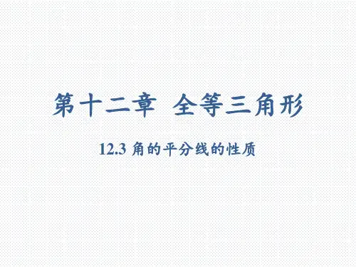 人教版数学八年级上册 第十二章 12.3 角的平分线的性质 第一课时 课件(共33张PPT)