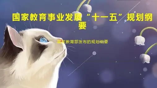 国家教育事业发展“十一五”规划纲要