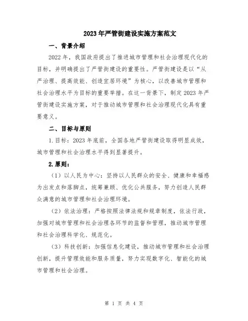 2023年严管街建设实施方案范文