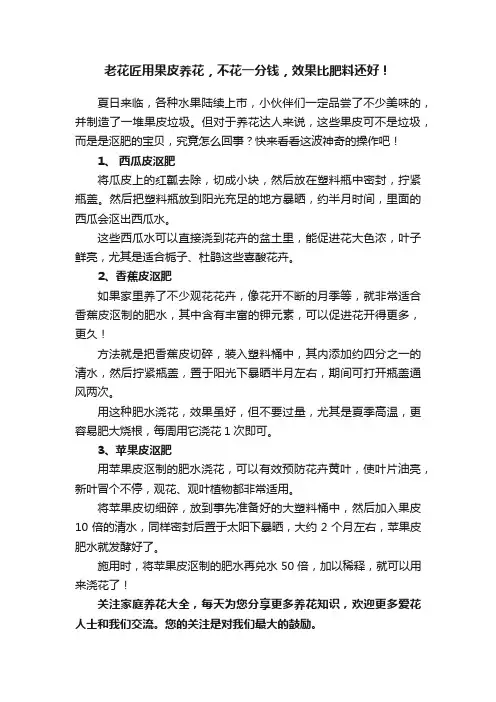 老花匠用果皮养花，不花一分钱，效果比肥料还好！