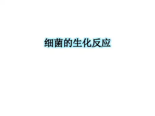 细菌 的生化反应