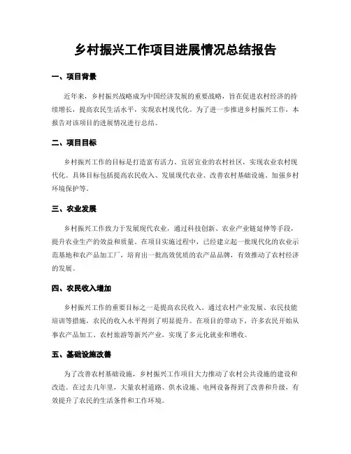 乡村振兴工作项目进展情况总结报告