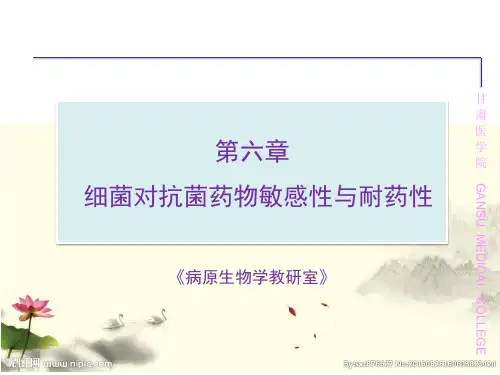第6章  细菌对抗菌药物敏感性与耐药性