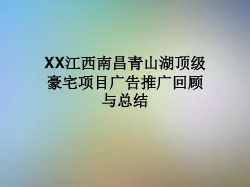 XX江西南昌青山湖顶级豪宅项目广告推广回顾与总结