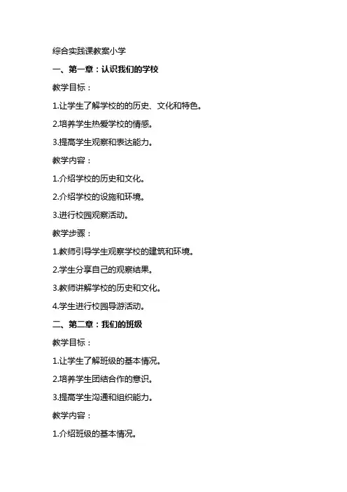 综合实践课教案小学
