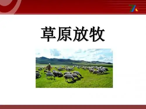 《草原放牧》PPT实用课件2