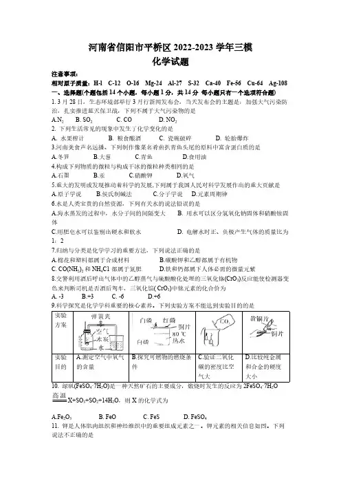 2023年河南省信阳市平桥区三模化学试题(含答案)