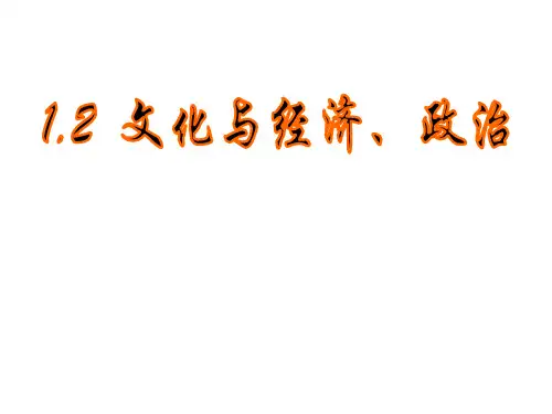 文化与经济政治