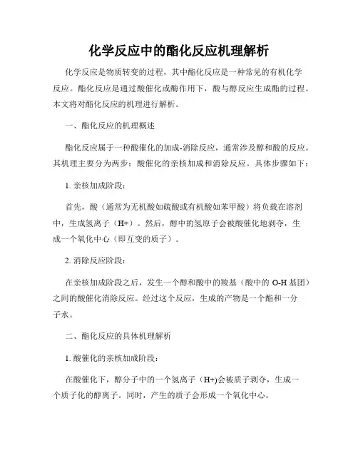 化学反应中的酯化反应机理解析
