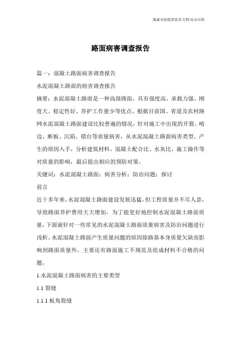 路面病害调查报告
