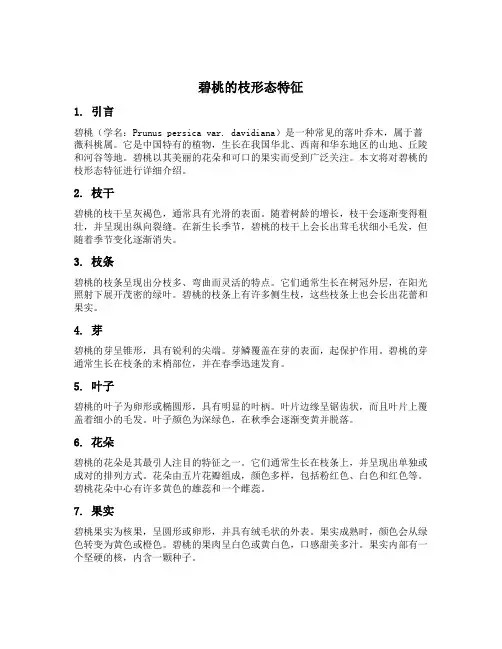 碧桃的枝形态特征