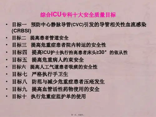 ICU十大安全目标1