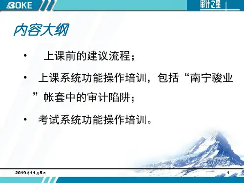 11审计之星教育版_软件功能操作培训