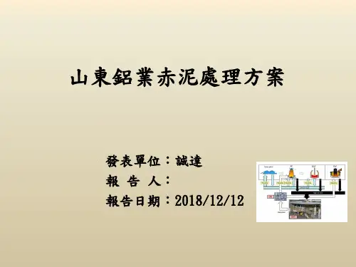 山东铝业(赤泥处理)工艺设计报告20181212