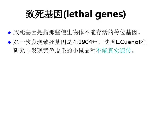 非等位基因间的相互作用、致死基因
