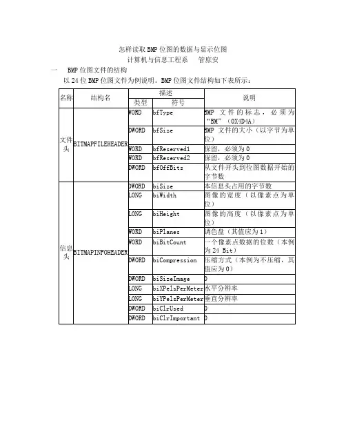 1  怎样读取BMP文件中的像素数据与显示位图