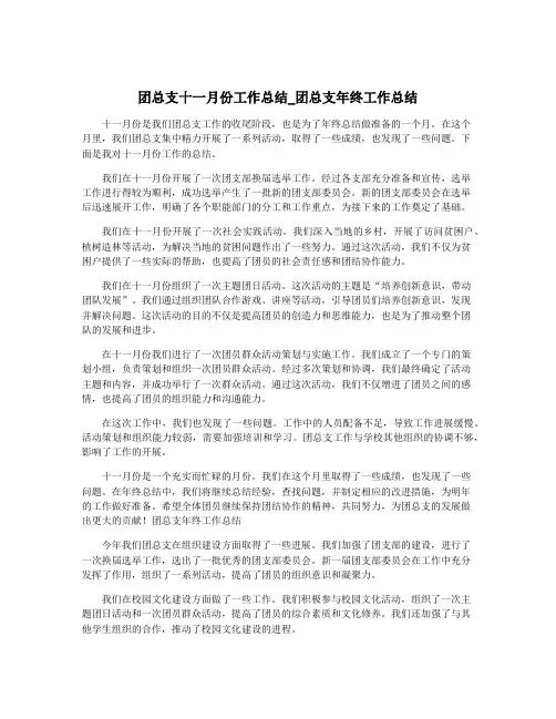 团总支十一月份工作总结_团总支年终工作总结