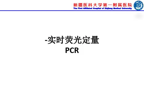 -实时荧光定量PCRppt课件
