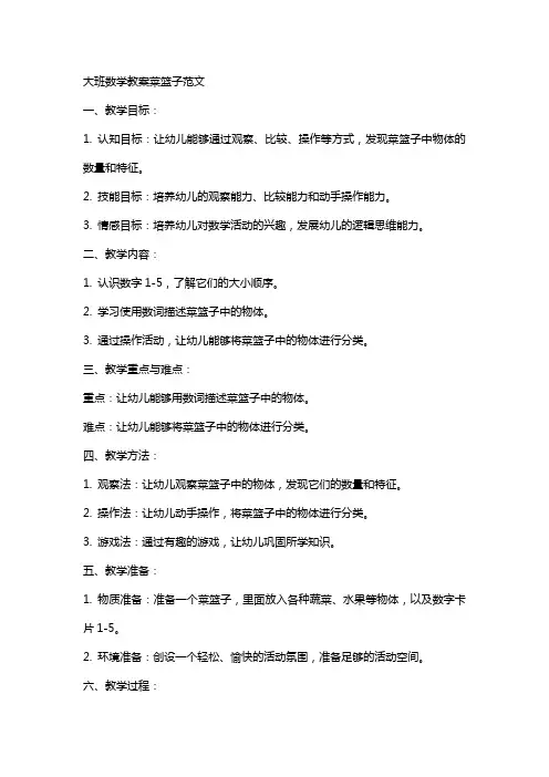 大班数学教案菜篮子范文
