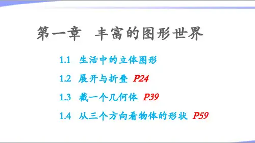 2023年北师大版七年级数学上册第一章丰富的图形世界教学课件