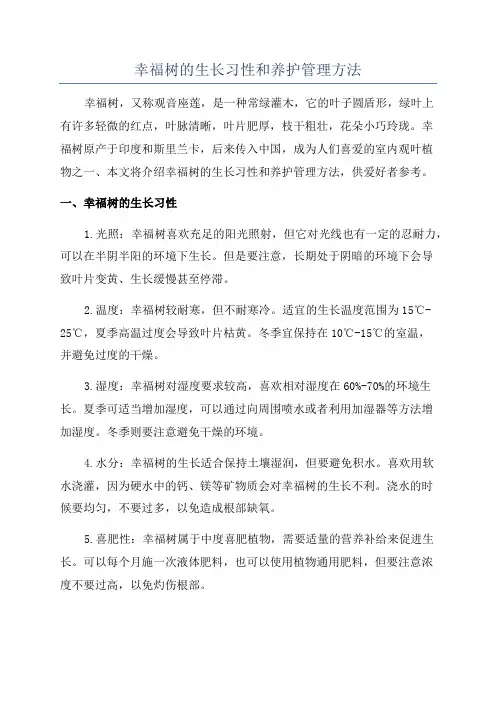 幸福树的生长习性和养护管理方法