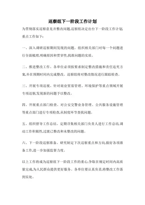 巡察组下一阶段工作计划